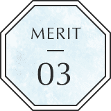 Merit 03